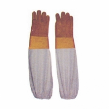 Bee Gloves